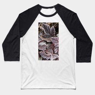 The Beauty and Stillness of Frosty Fall Leaves Baseball T-Shirt